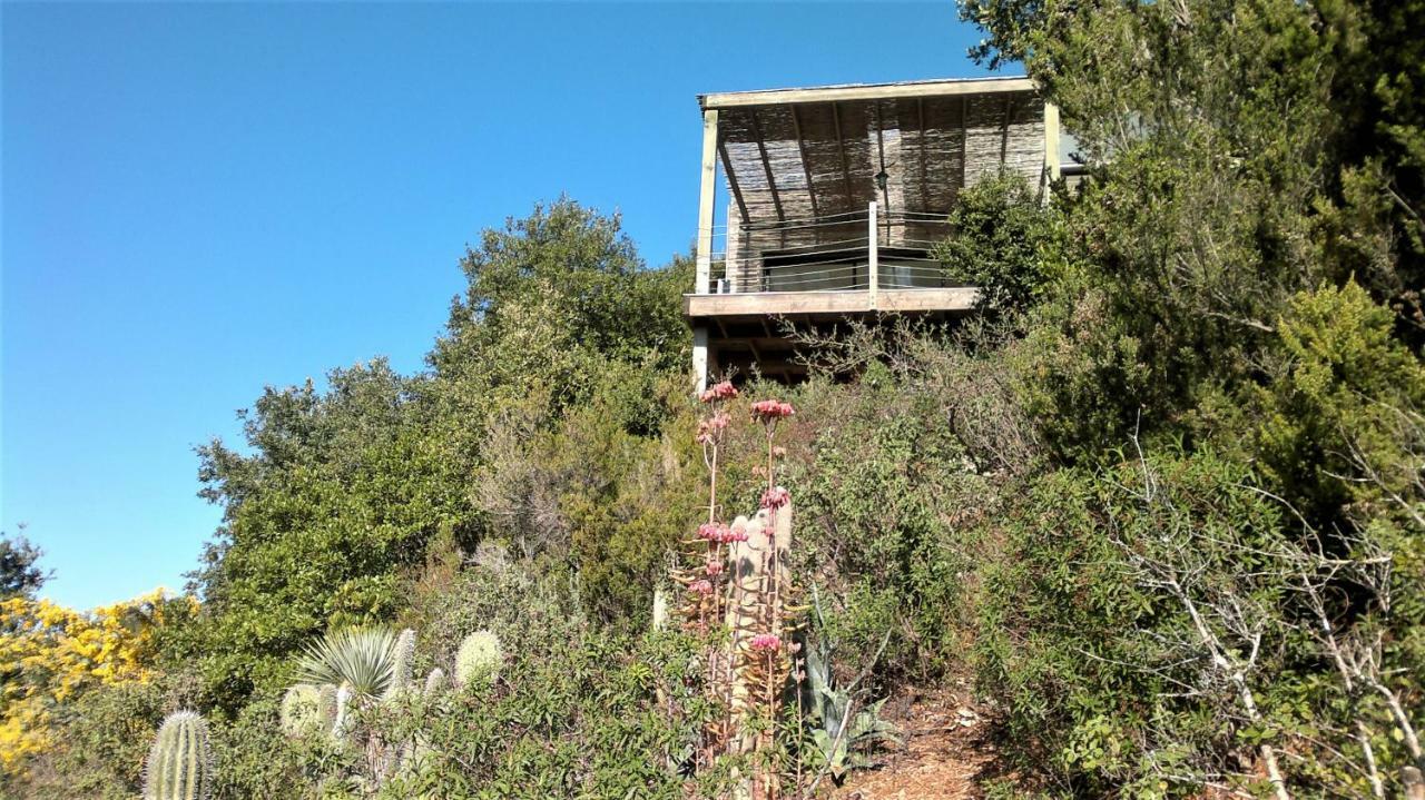 A Altezza Palombaggia Villa Porto-Vecchio  Exterior photo